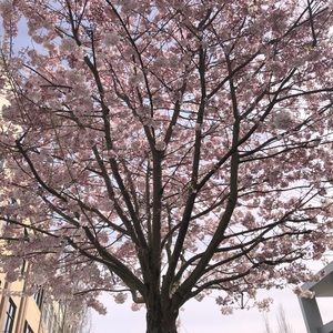 Meet your Posher, Krista